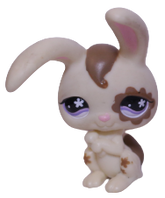 #0582 Rabbit